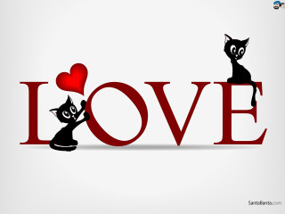 Cats love heart black fur - top of it free wallpaper for desktop