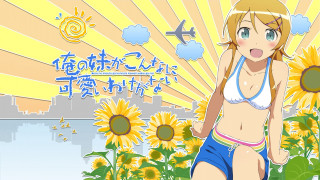 Woman bikini sunflowers city plane - sunflower free wallpaper