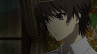 Man tie glasses room flowers - ufotable free wallpaper for desktop