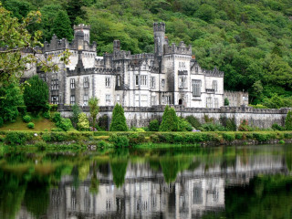 Castle lake forest trees scenery - a forest in the background free wallpaper