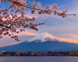 Mount fuji lake city autumn - peak in the distance free wallpaper