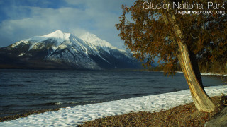 Tree snow lake mountains background - alson s. clark free wallpaper for desktop