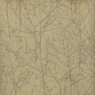 Bare tree winter nature leaves - free other wallpaper for tablet