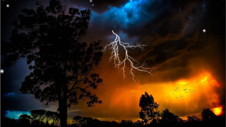 Lightning bolt tree field night - dramatic lightning free wallpaper
