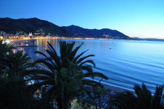 Beach palm trees city night - a view of a beach free wallpaper for desktop