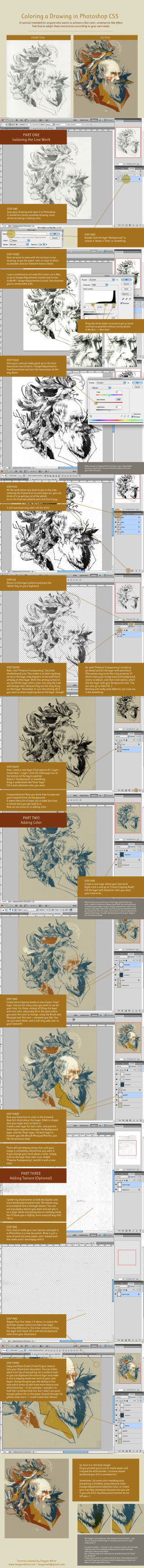 Large poster different types lines - digital painting free wallpaper for mobile