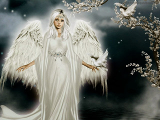 White angel wings feathers dress - angelic free wallpaper