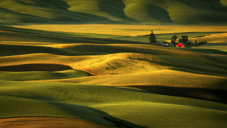 Green field red house hills - free landscape wallpaper