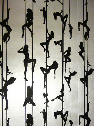 Climbing giantess silhouette bird feathers - cornelia parker free wallpaper for mobile