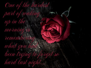 Red rose wooden table quote 2 - a poem free wallpaper