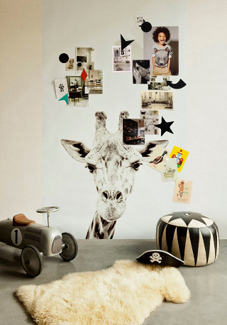 Giraffe photo wall rug interior - the floor next free wallpaper for mobile