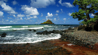Rocky beach tree rock outcropping - a rocky beach free wallpaper