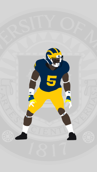 Football player uniform number five - a seal free wallpaper
