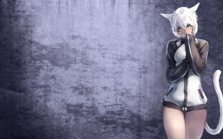 Woman cat costume wall cat - a cat tail free wallpaper for desktop