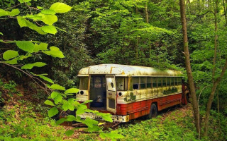 Old bus woods sitting in 2 - dirk crabeth free wallpaper