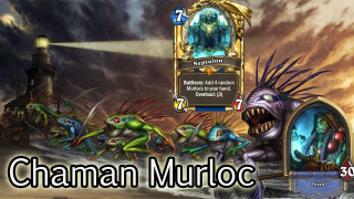Chaman murioc monsters hearthstone concept - a picture of a bunch free wallpaper