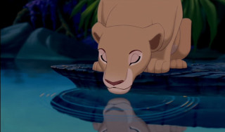 Lion standing water eyes closed - don bluth free wallpaper for desktop