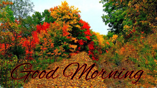 Good morning road leaves ground - good morning free wallpaper