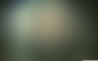 Blurry bird branch distance blurry - volumetric fog free wallpaper for desktop