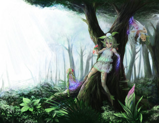 Fairy sitting tree forest light - a fairy free wallpaper