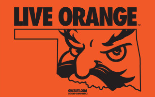 Tiger face live orange sign - side and the words free wallpaper