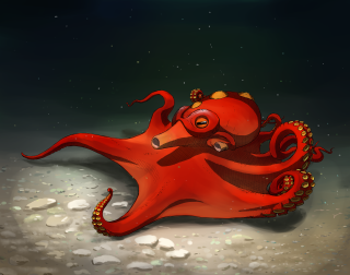 Red octopus laying ground head - a gold ring free wallpaper for desktop