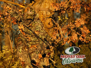 Mossy oak advertisement tree background - colin moss free wallpaper