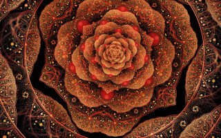 Intricate red gold flower black - amanda sage free wallpaper