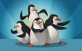 Penguins group blue background border 2 - a blue background behind them free wallpaper