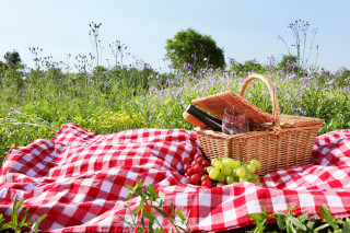 Picnic blanket grapes wine field - summer free wallpaper