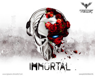 White helmet red roses cityscape - a white helmet free wallpaper