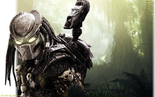 Predator character forest gun skull - his hand and a skull free wallpaper