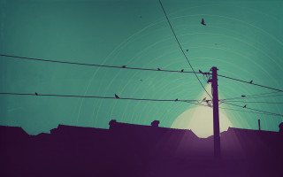 Bird telephone pole city night - a full moon in the background free wallpaper for desktop