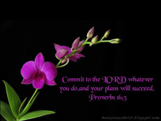 Purple flower bible verse black - a bible verse free wallpaper for desktop