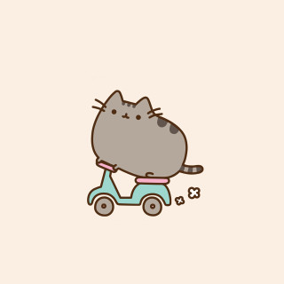 Cat riding scooter bone mouth - free cats wallpaper for tablet