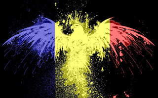 Bird france flag colors black - a painting of a bird free wallpaper