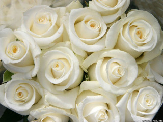 White roses bouquet rococo anna - this picture free wallpaper