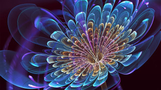 Blue flower purple center fractal - a purple center free wallpaper