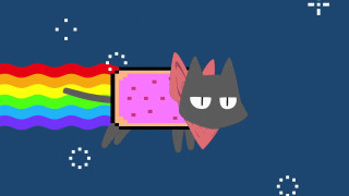 Cat rainbow blanket background black - a rainbow in the background free wallpaper