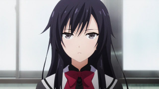 Girl long black hair red 3 - a window pane free wallpaper