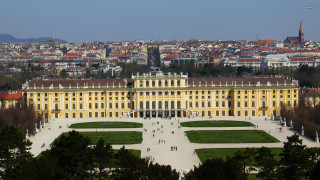 Large building windows grass trees - window free wallpaper