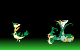 Green yellow dragons sitting black - craola free wallpaper