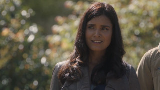 Eve ryder woman man park - the background and a blurry background free wallpaper