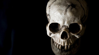 Skull black background white skull 2 - skull free wallpaper