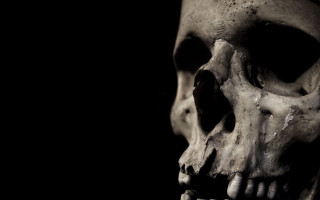 Skull tooth black background white - skull free wallpaper