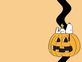 Cartoon pumpkin cat black stripe - an album cover free wallpaper