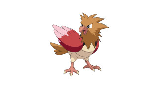 Cartoon bird red white tail 2 - a cartoon bird free wallpaper