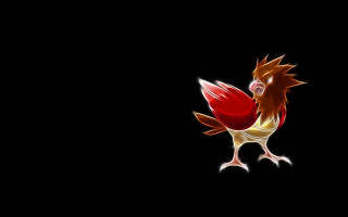 Red yellow rooster black background - free bird wallpaper