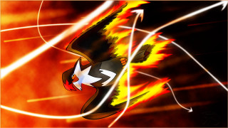 Bird flying red yellow sky - a white line in the middle free wallpaper