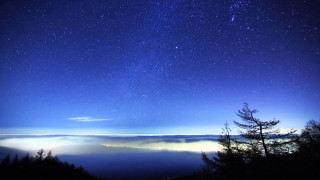 Night sky stars clouds trees - arthur pan free wallpaper